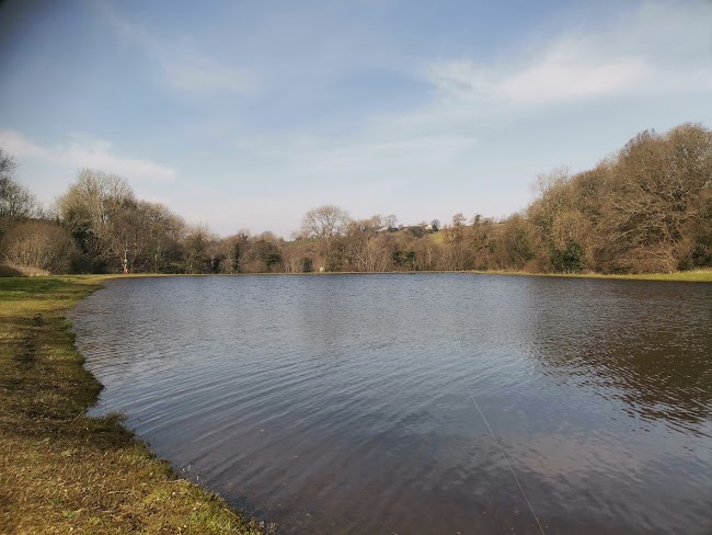 Cashel Lake View Trout Fishery and Bed & Breakfast image