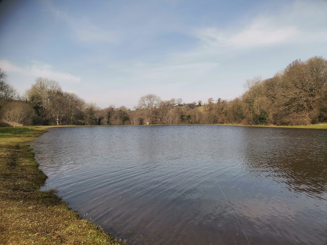 Cashel Lake View Trout Fishery and Bed & Breakfast image