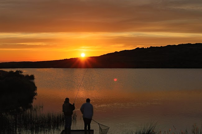 Lough Fadden Trout Fishery image