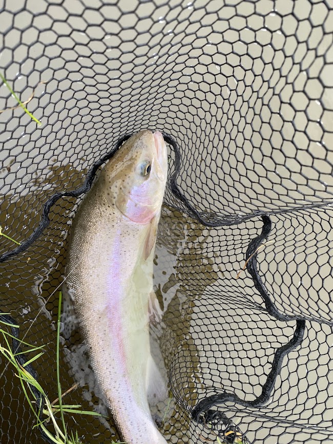 Bann Valley Fishery image