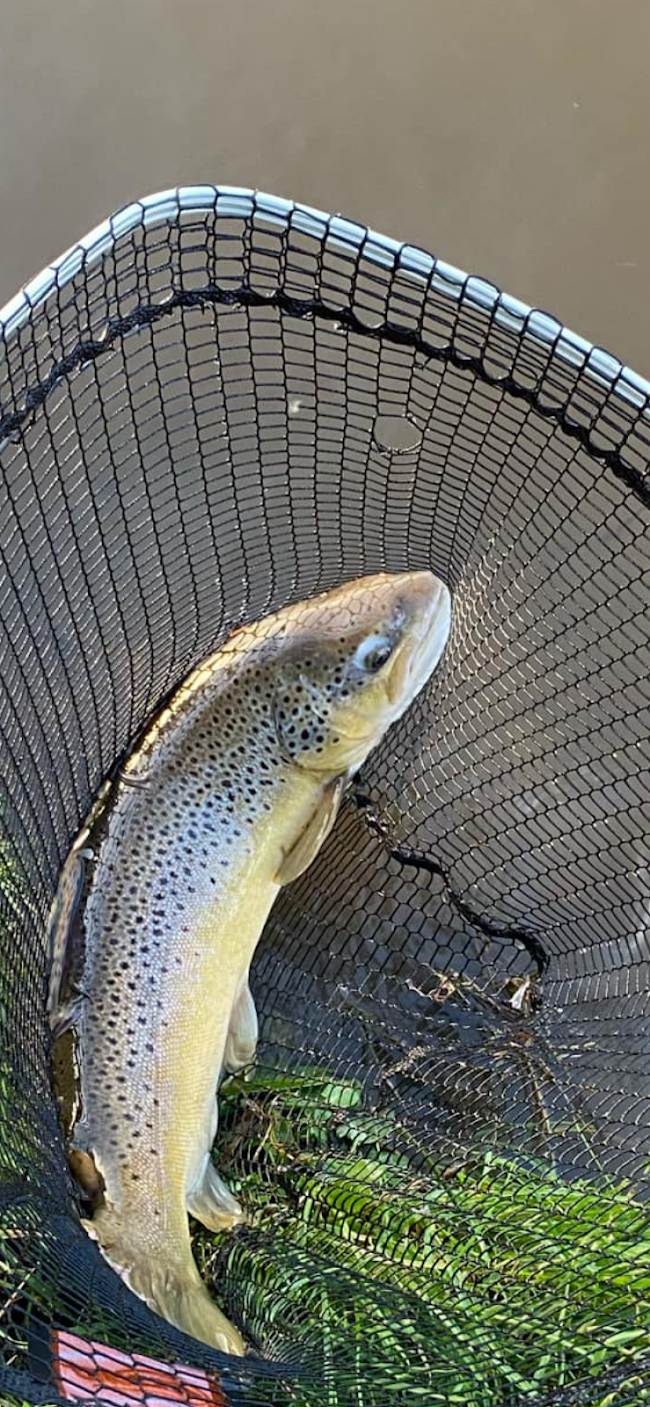 Bann Valley Fishery image
