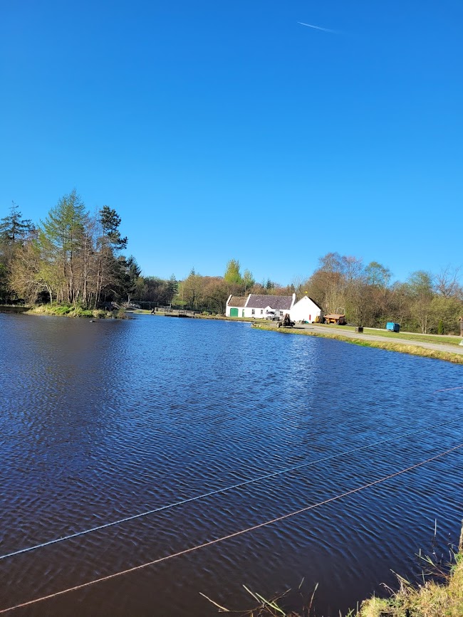 Rectory Lodge Trout Fishery image